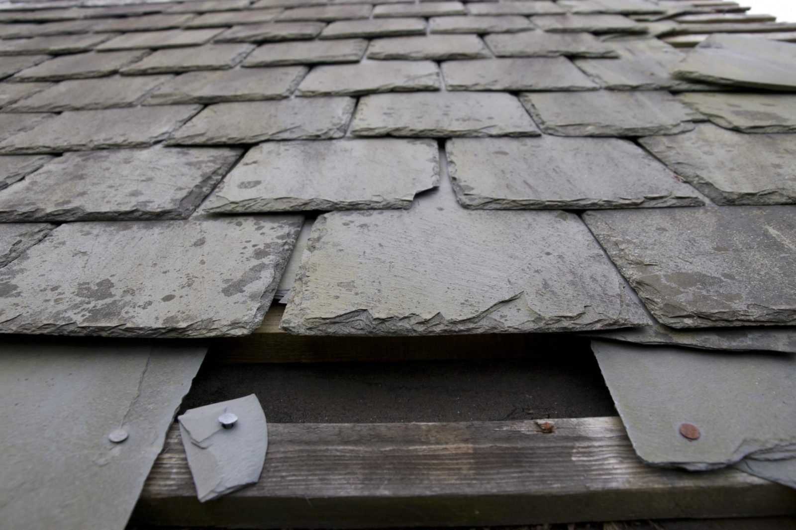 Broken or slipped roof tiles requiring repair